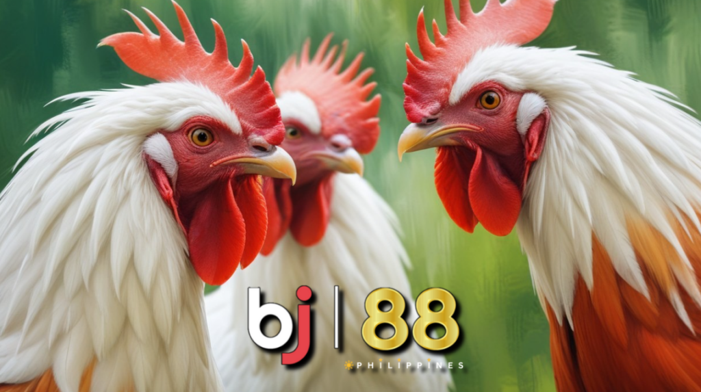 BJ88 Philippines