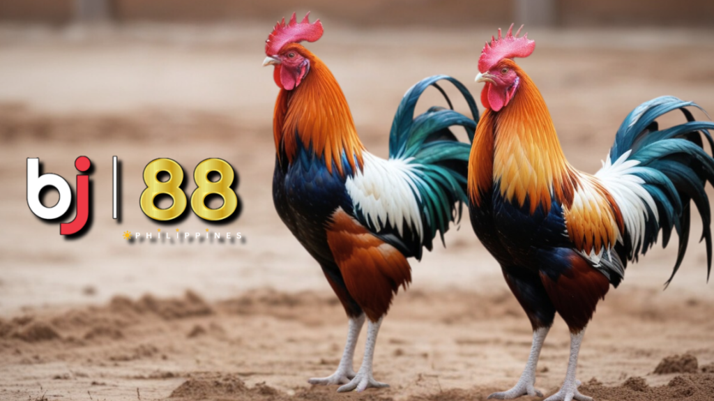 BJ88 Philippines